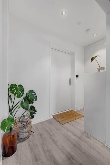 Newly Renovated - Oslo Downtown Διαμέρισμα Εξωτερικό φωτογραφία